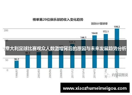 意大利足球比赛观众人数激增背后的原因与未来发展趋势分析